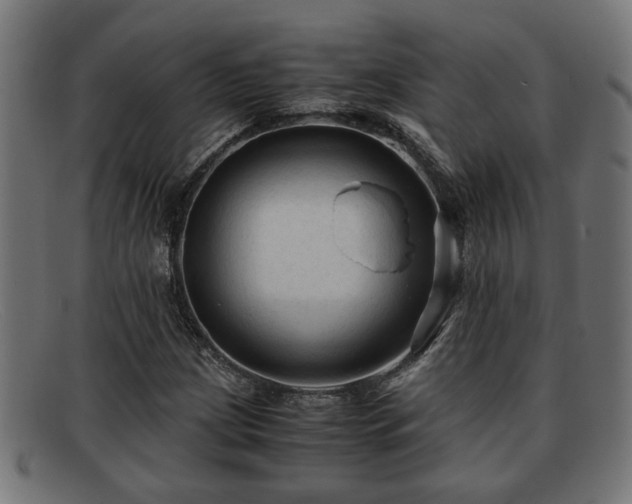 X0000091981209200709131405