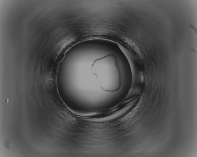 X0000091981210200709131405