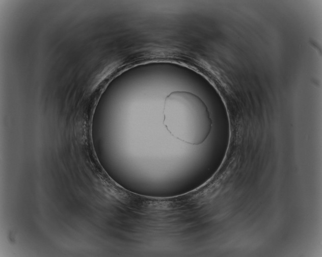 X0000091981211200709131405