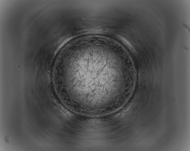 X0000091981212200709131406