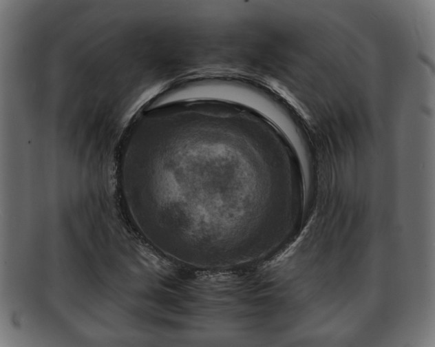 X0000091981213200709131406