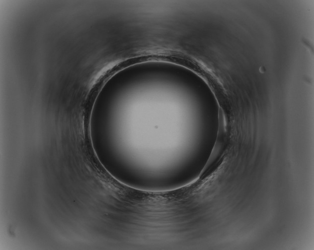 X0000091981214200709131406