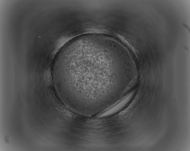 X0000091981215200709131406