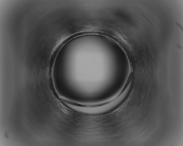 X0000091981216200709131406