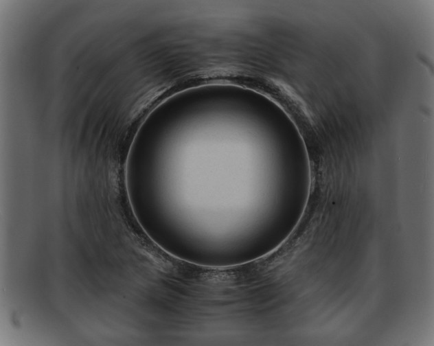 X0000091981217200709131406