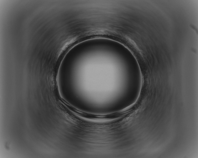 X0000091981218200709131406