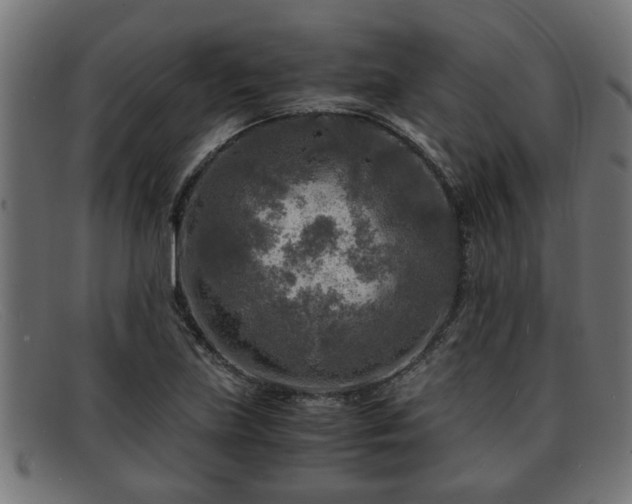 X0000091981219200709131406