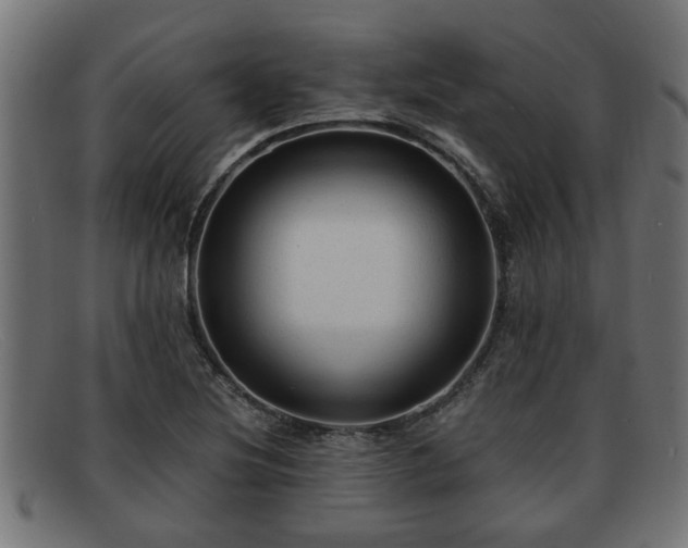 X0000091981220200709131406