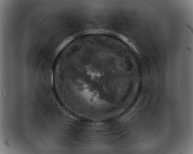 X0000091981221200709131406