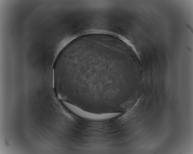 X0000091981223200709131406