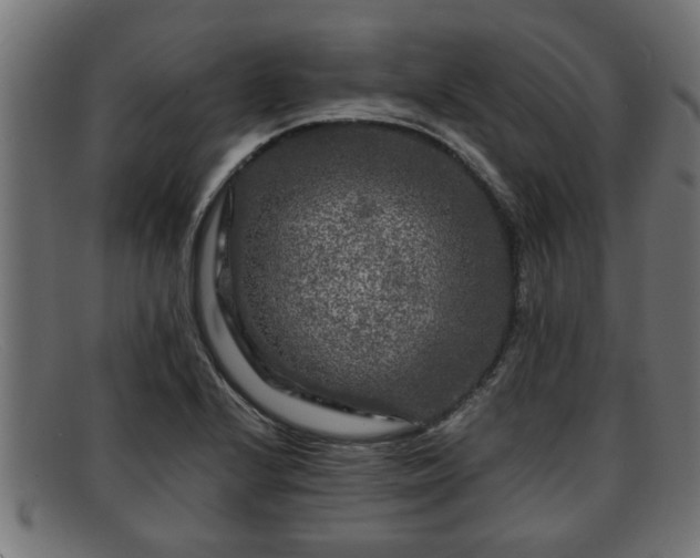 X0000091981224200709131406