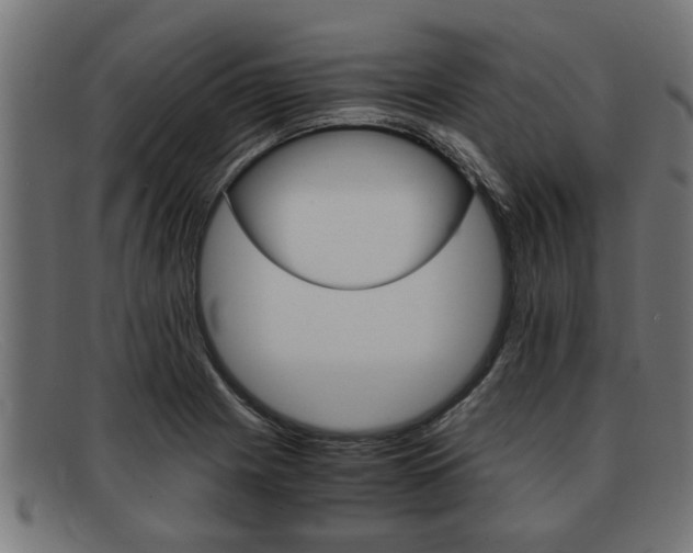 X0000091981225200709131406