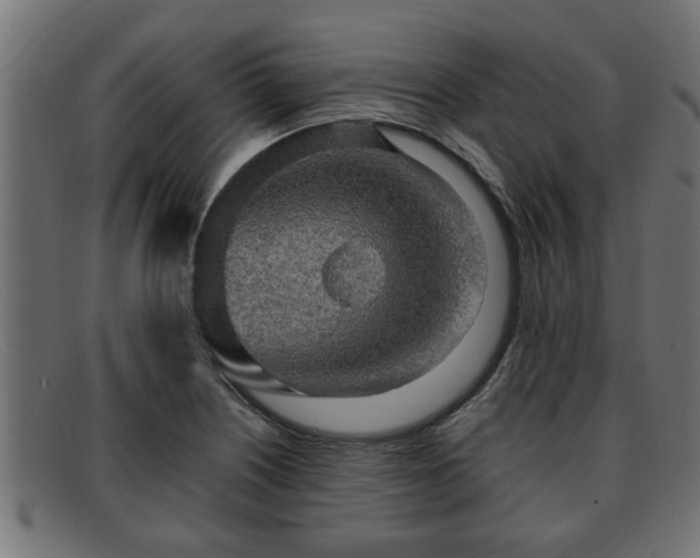 X0000091981226200709131406