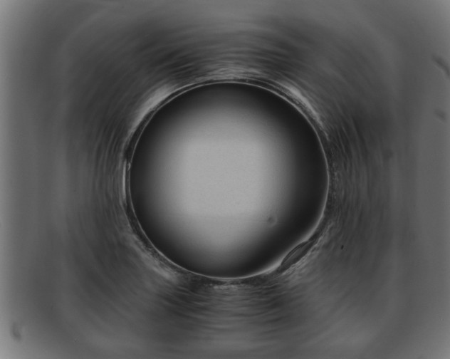 X0000091981227200709131406