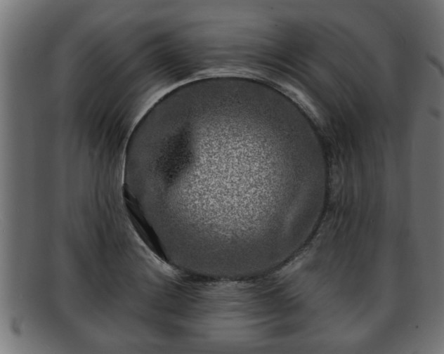 X0000091981228200709131406