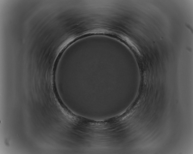 X0000091981229200709131406