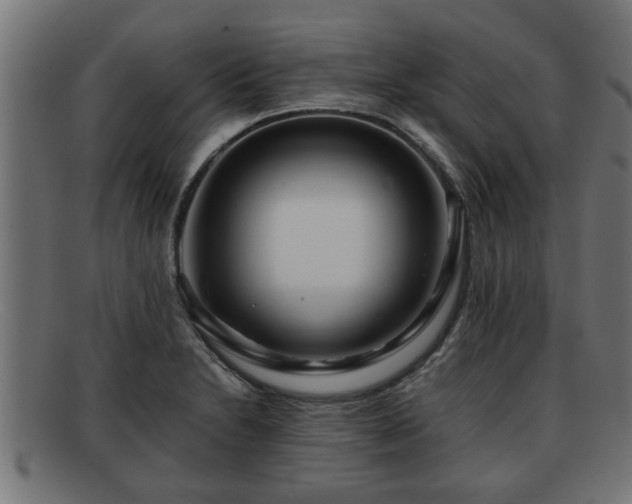 X0000091981230200709131406