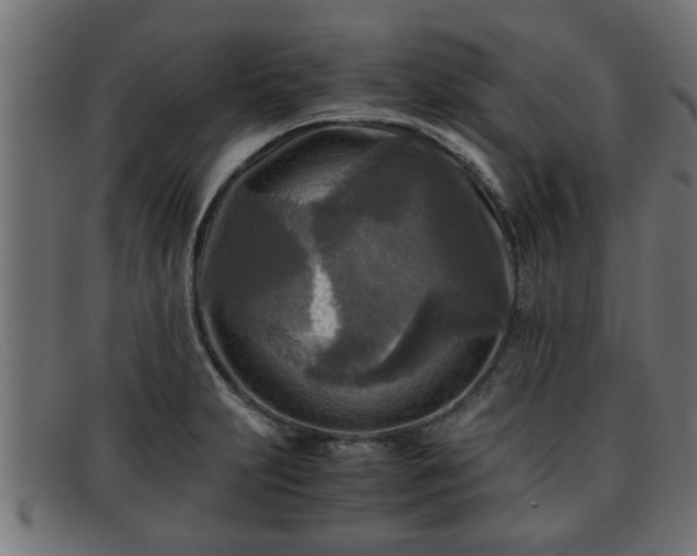 X0000091981231200709131406