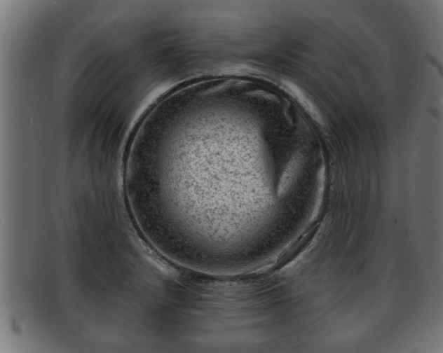 X0000091981232200709131406