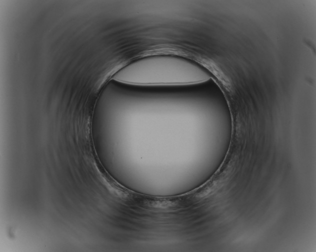 X0000091981233200709131406