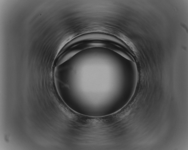 X0000091981234200709131406