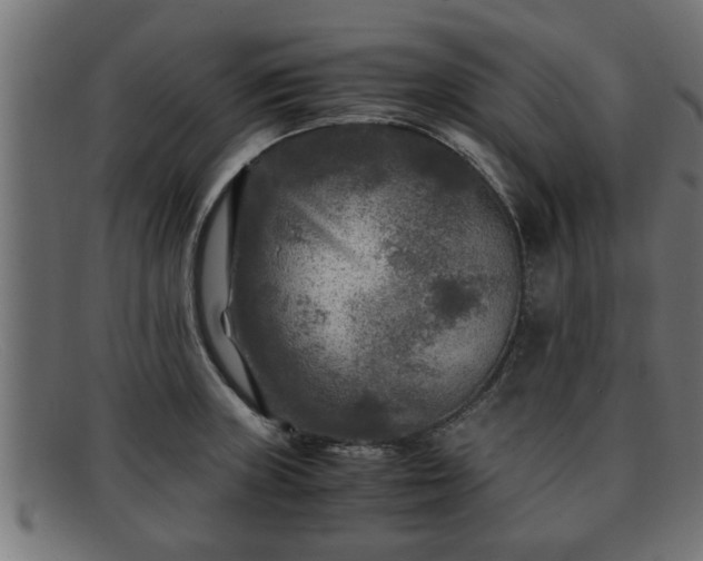 X0000091981235200709131406