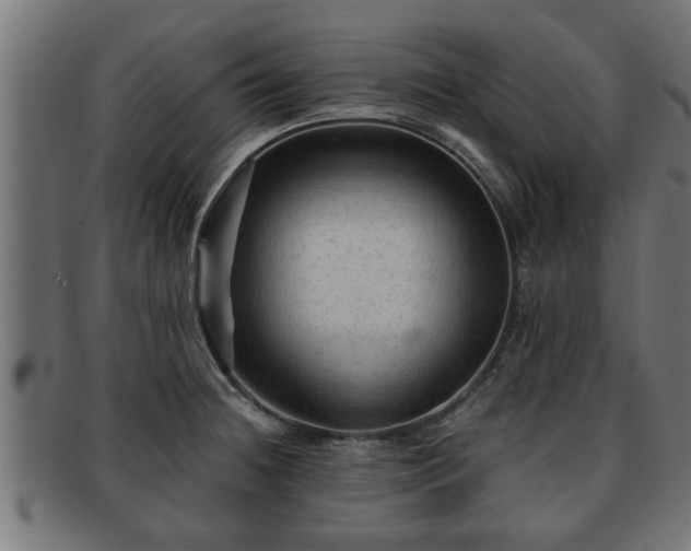 X0000091981236200709131406