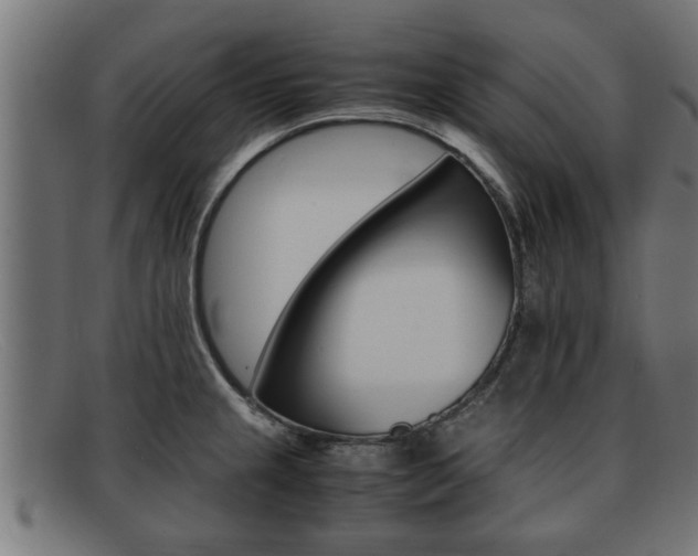 X0000091981237200709131406