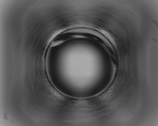 X0000091981238200709131406