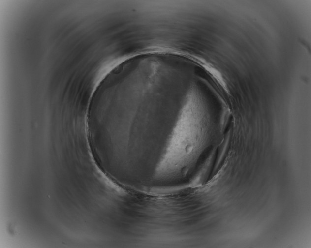 X0000091981239200709131406