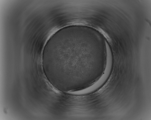 X0000091981240200709131406