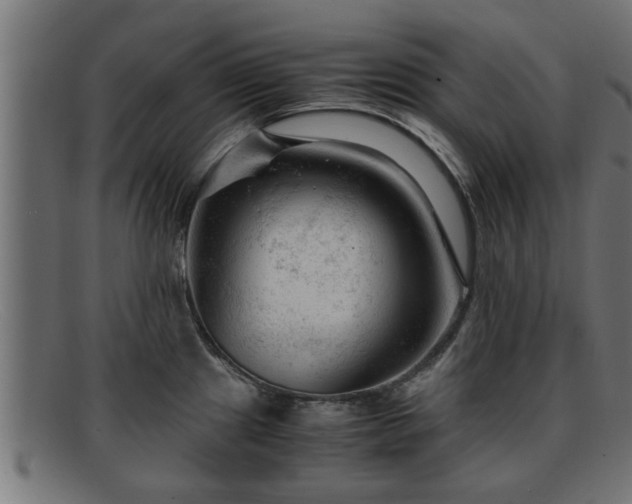 X0000091981241200709131406