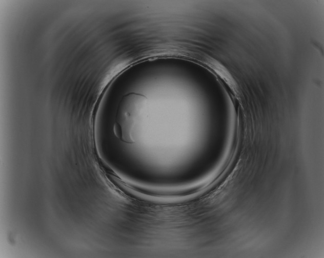 X0000091981242200709131406