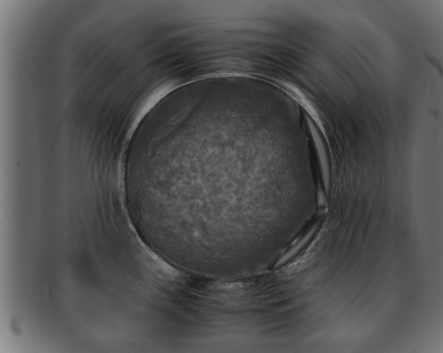 X0000091981243200709131406