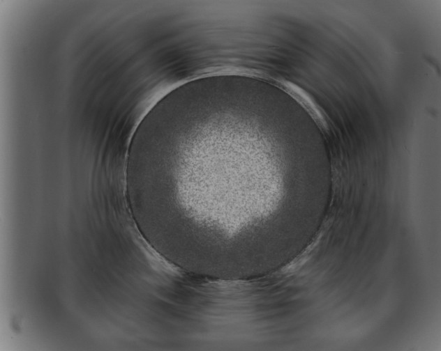 X0000091981244200709131406