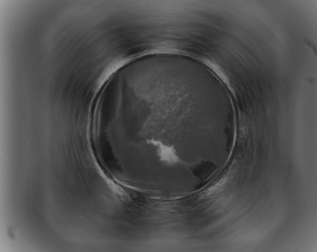 X0000091981245200709131406