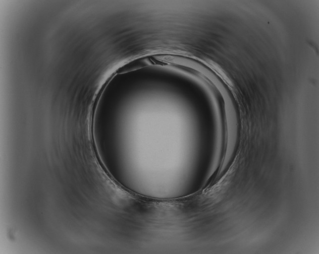 X0000091981246200709131406