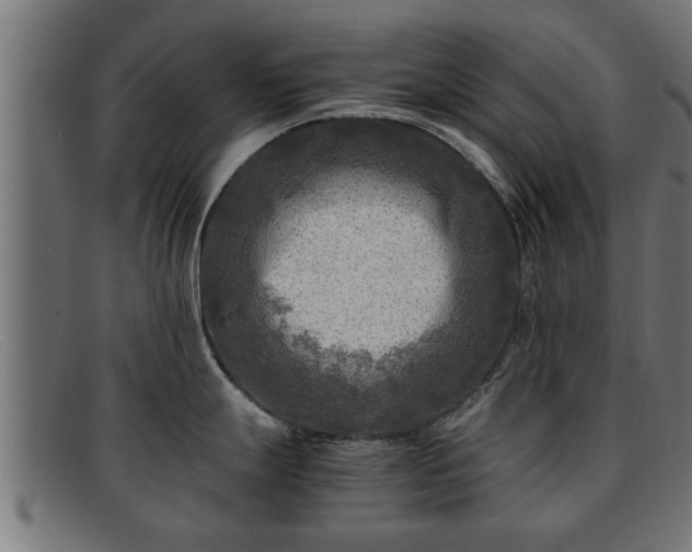 X0000091981247200709131406