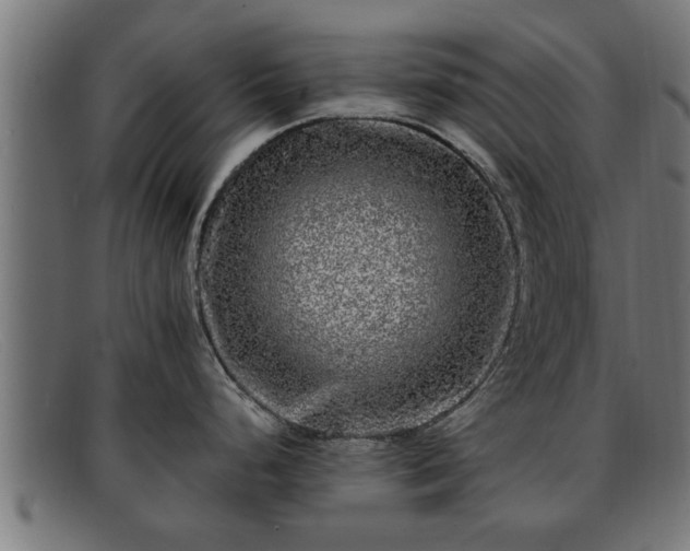 X0000091981248200709131406