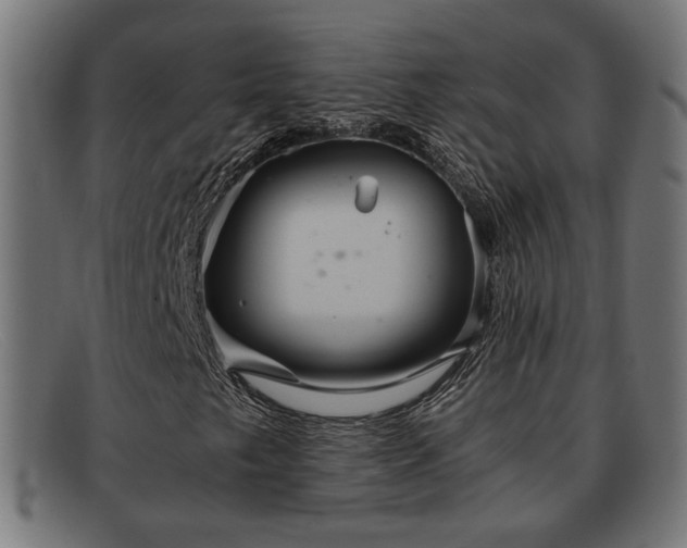 X0000091981249200709131405