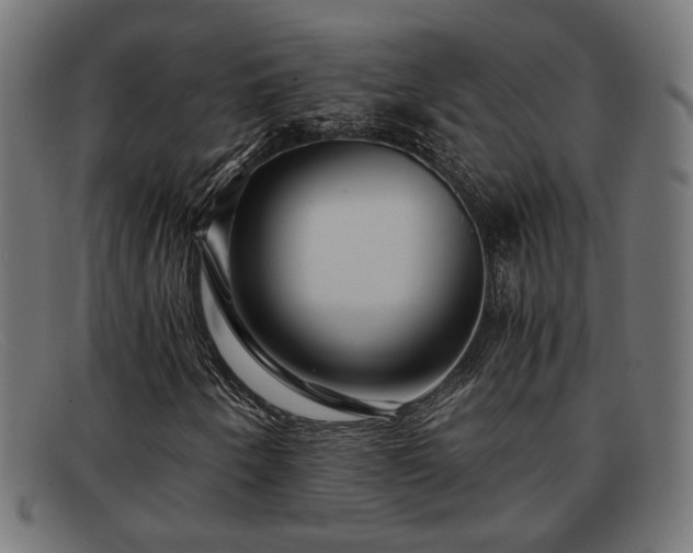 X0000091981250200709131405