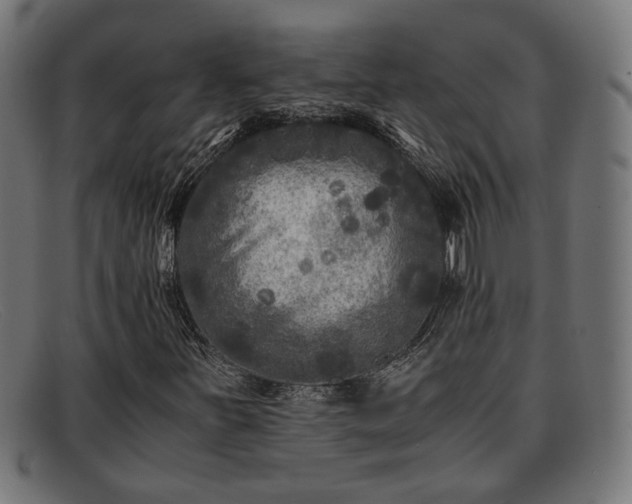 X0000091981251200709131405