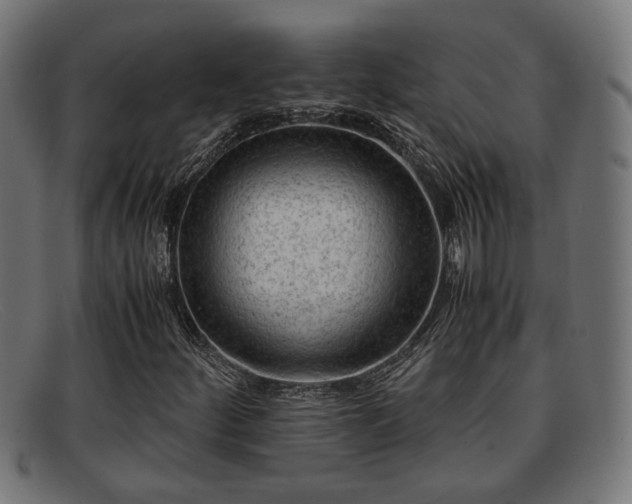 X0000091981252200709131405