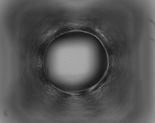 X0000091981253200709131405