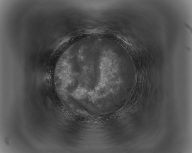 X0000091981254200709131405