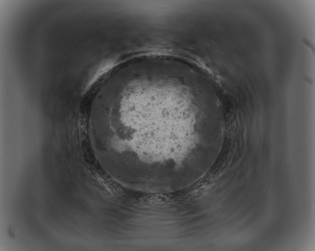 X0000091981255200709131405