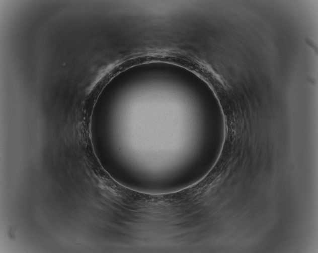 X0000091981256200709131405