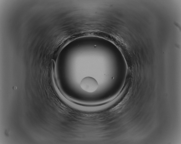 X0000091981257200709131405