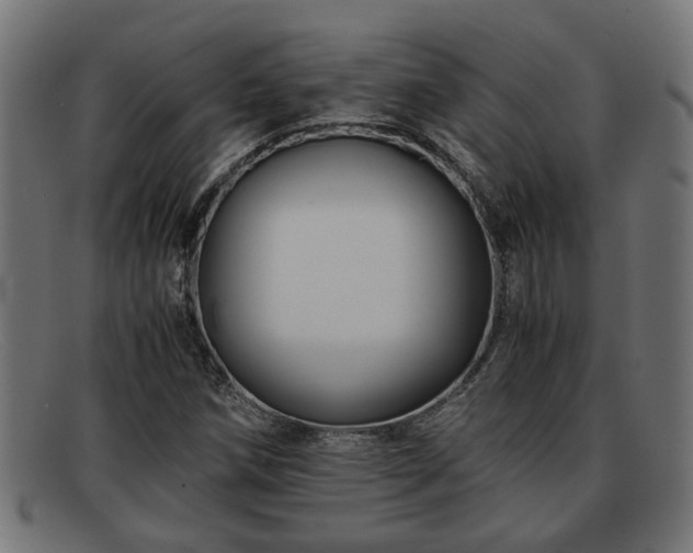 X0000091981258200709131405