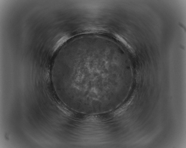 X0000091981259200709131405